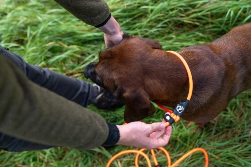 Farm-Land Beileine lautlos