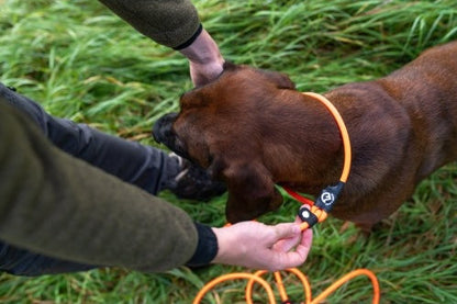 Farm-Land Beileine lautlos