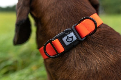 Farm-Land Halsband verstellbar