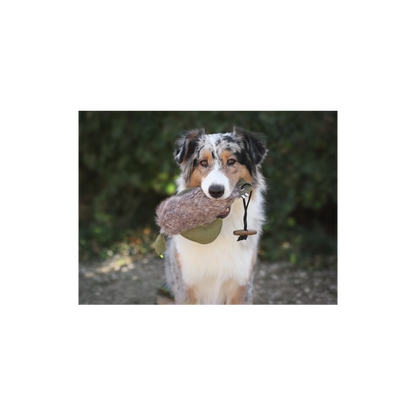 Farm-Land Hunde Dummy Ente mit Fell 300g