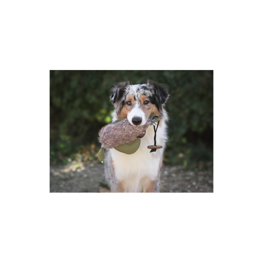 Farm-Land Hunde Dummy Ente mit Fell 300g