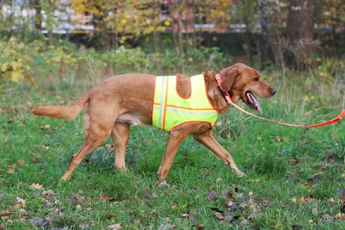 Farm-Land Hunde Reflektorweste verschiedene Größen