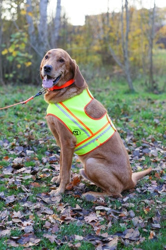 Farm-Land Hunde Reflektorweste verschiedene Größen