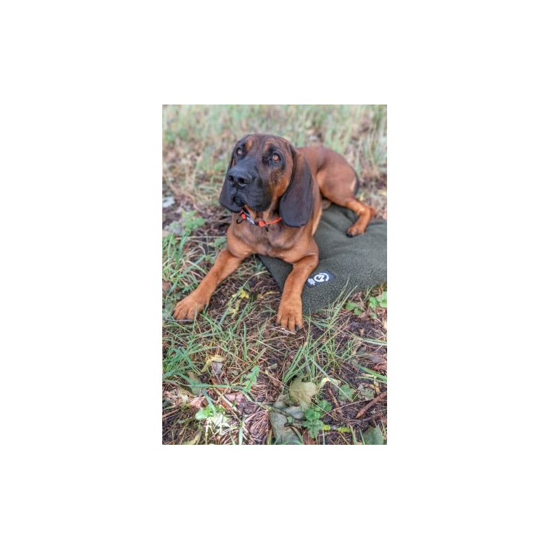 Farm-Land Hundedecke Faserpelz 50x70cm verschiedene Farben