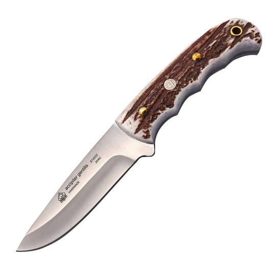 PUMA IP accipiter gentilis